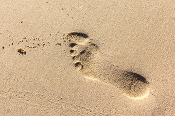 Footprint