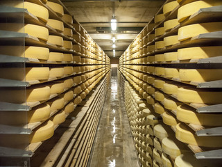 Svizzera,formaggio Gruyère.