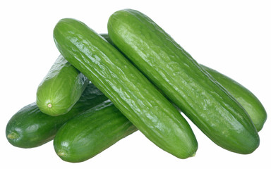 cucumbers isolated on white background