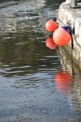 zwei Fender spiegeln sich im Wasser