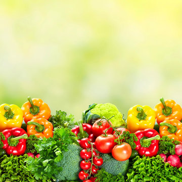 Vegetables over green background.