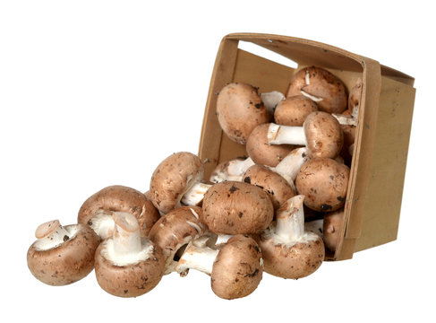 mini portabella mushroom