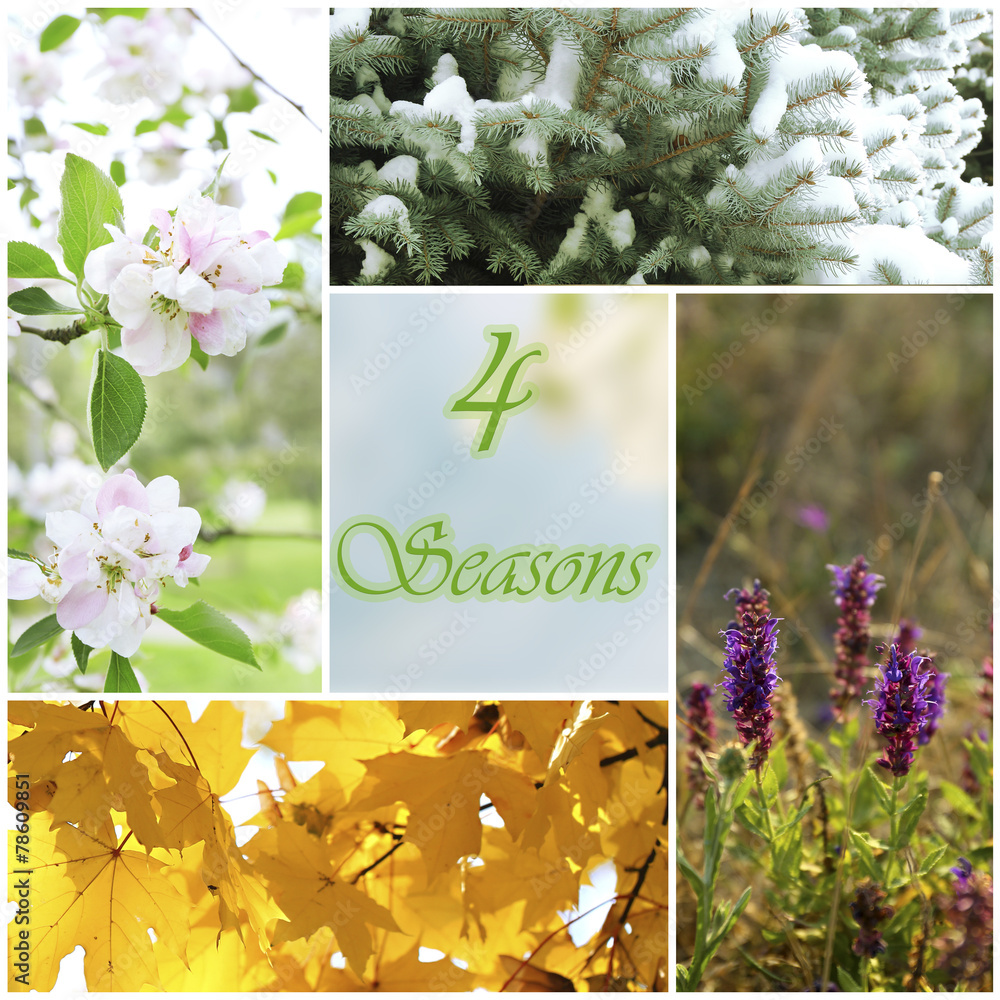 Wall mural four seasons collage with space for text: winter, spring,