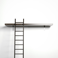 Ladder and wooden shelf