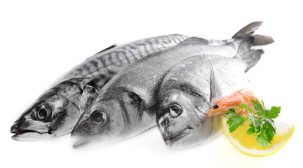 Fresh fish and other seafood isolated on white