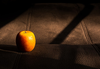 still life of dried apple on vintage leather