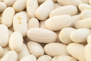Fototapeta na wymiar cannellini beans