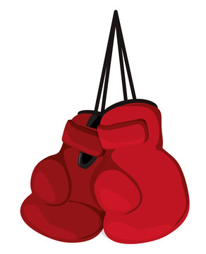 boxing sport