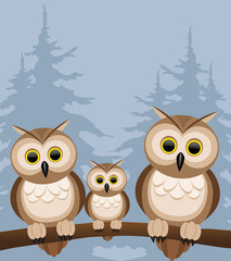 Vector illustration. Owls.
