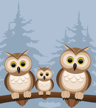 Vector illustration. Owls.
