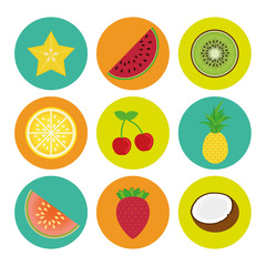 Fruits design, vector illustration.
