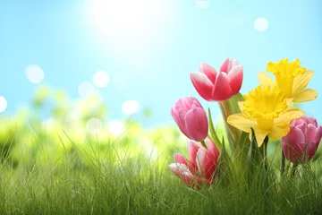 Gordijnen Spring flowers in grass © Li Ding
