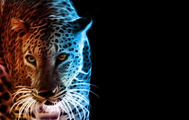 Digital drawing of a tiger