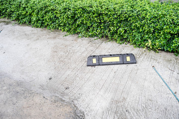 Parking lot partition on street ground with green hedge