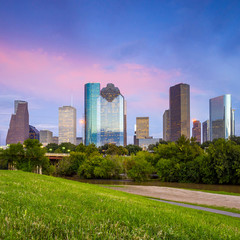 Fototapeta na wymiar Houston Texas skyline at sunset twilight from park lawn