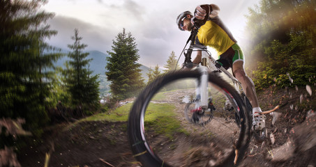 Naklejka na ściany i meble Sport. Mountain Bike cyclist riding single track