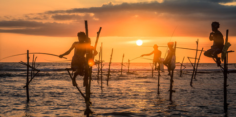 Standing on the single timber pole can only found in Sri Lanka