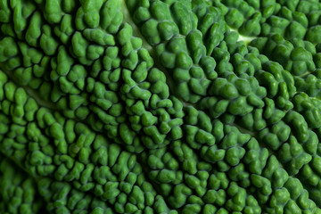 Savoy cabbage close up green texture