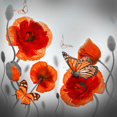 Obrazy na Szkle  Czerwone maki i niebieskie chabry, motyl