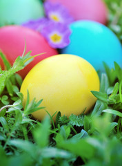 Fototapeta na wymiar Colored easter eggs on green grass