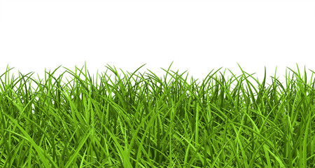 Gras, Rasen, Wiese, Ostergras, Hintergrund, Panorama, Banner, 3D