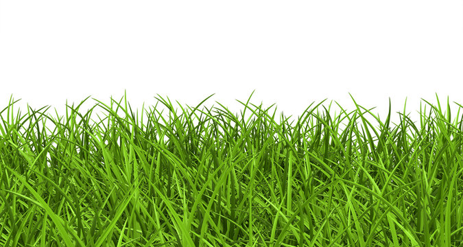 Gras, Rasen, Wiese, Ostergras, Hintergrund, Panorama, Banner, 3D