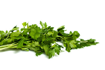 Green tops of parsley on white background