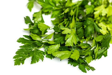 Green tops of parsley on white background