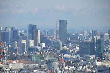 Obraz premium Great view over Tokyo