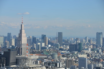 View over Tokyo city