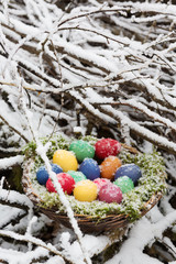Colored eggs in a basket in snow