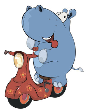 A little hippopotamus and a red motor scooter. Cartoon