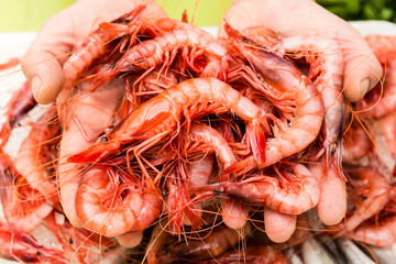 hands picking up a handful of red prawns