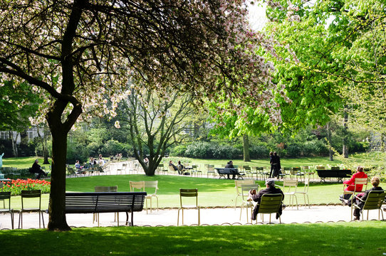 Fototapeta jardin du luxembourg