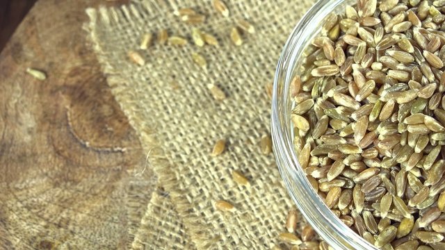 Portion of Green Spelt (not loopable)