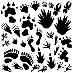 Fototapeta premium Alien monster footprints