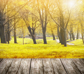 Naklejka na ściany i meble Terrace overlooking autumn park with trees and sunlight