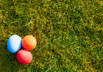 Easter eggs on green meadow