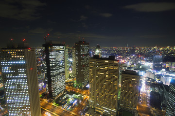 Fototapeta na wymiar 大都会東京イメージ　新宿高層ビル街から望む東京全景　東京スカイツリーも望む