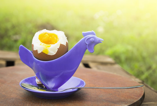 soft boiled egg  in eggcup in form of chicken on nature