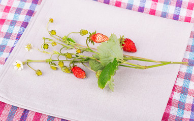 strawberries napkin