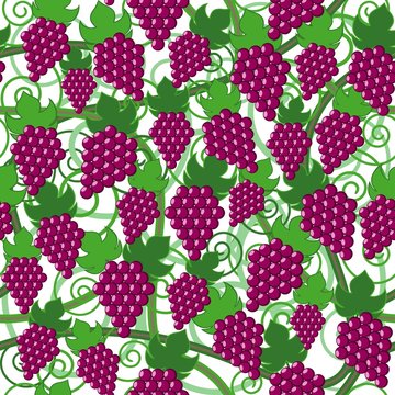 Seamless pattern with grape