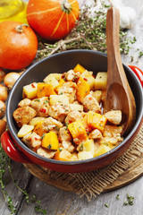 Chicken stew with pumpkin, potatoes and spices