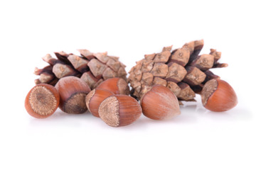 hazelnuts with cones