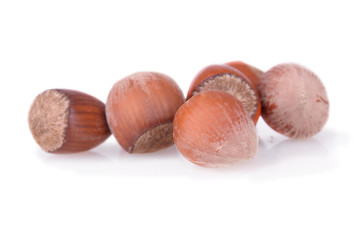 hazelnuts on a white background