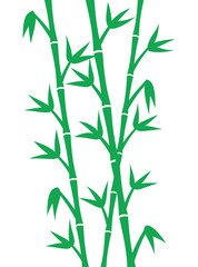 Fototapeta na wymiar Green bamboo stems on white background