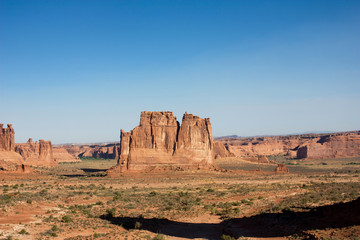 Desert american landscape