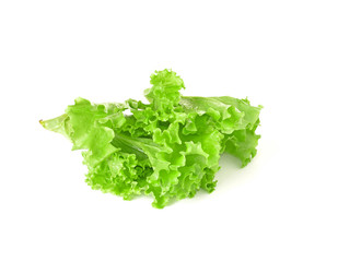 lettuce salad on a white background