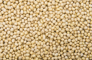 Soy Beans background