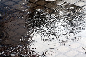 Rain in the city